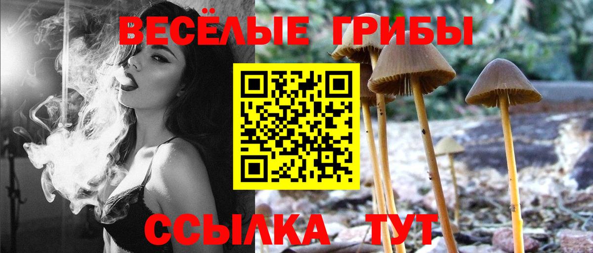 Псилоцибиновые грибы мухоморы Ефремов