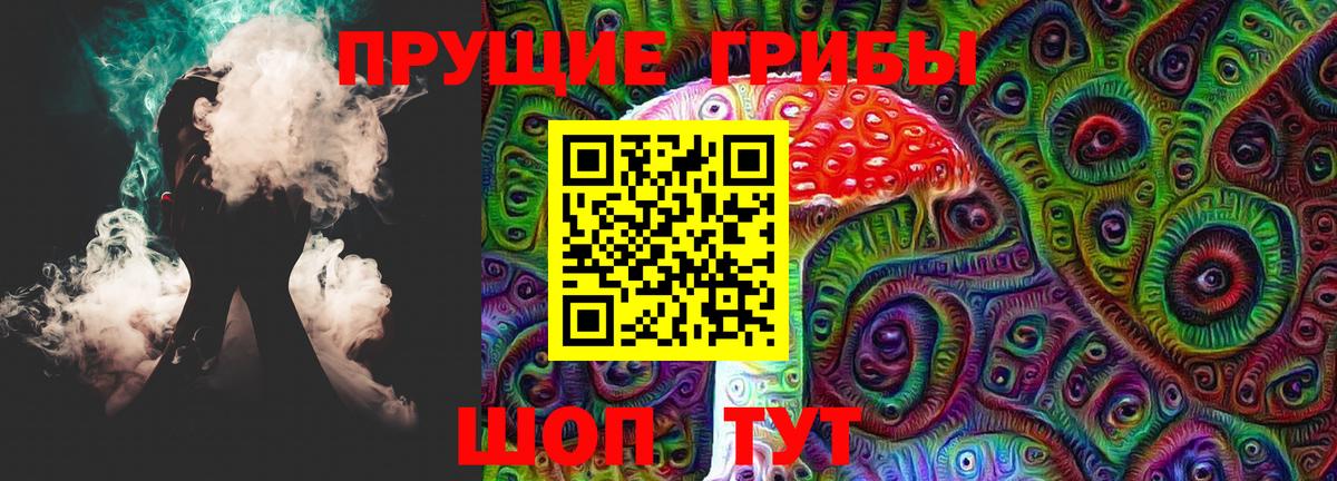 Ефремов  Псилоцибиновые грибы Psilocybine cubensis  Вход с VPN 